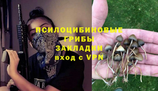 МДПВ Алексеевка