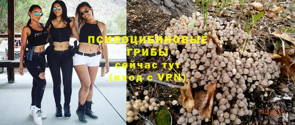 дживик Алзамай