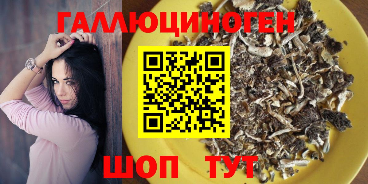 Михайловск  даркнет сайт  Вход с VPN  Псилоцибиновые грибы MAGIC MUSHROOMS  Псилоцибиновые грибы ЛСД 